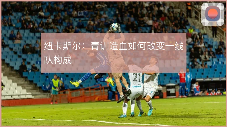 纽卡斯尔：青训造血如何改变一线队构成